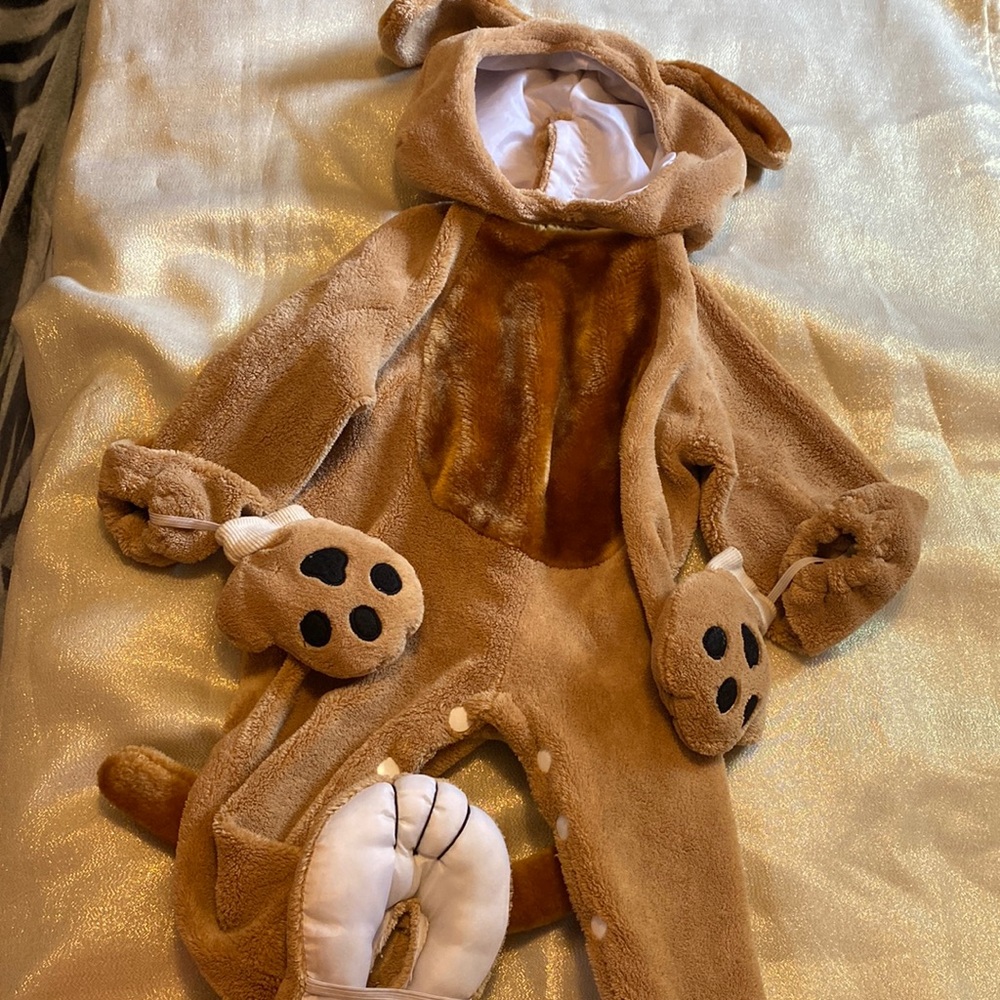 Brown Dog costume size 12/24 month
